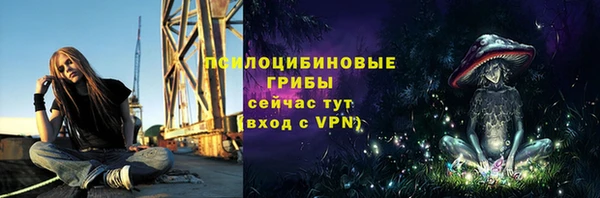 mix Карпинск