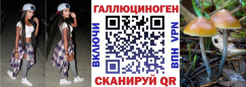 Галлюциногенные грибы прущие грибы  купить наркотики цена  Карачев 